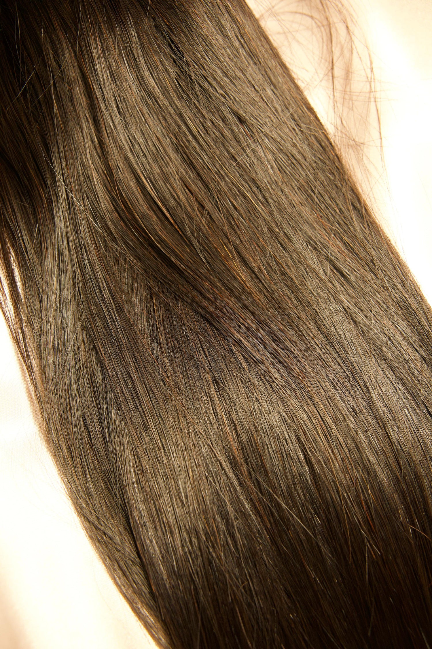 MONRÉVE BUNDLES