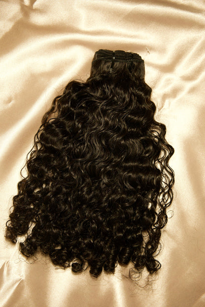 BURMESE CURLY